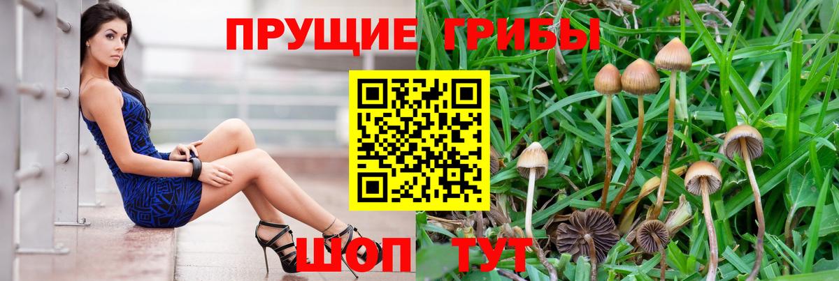 Галлюциногенные грибы Psilocybe Маркс