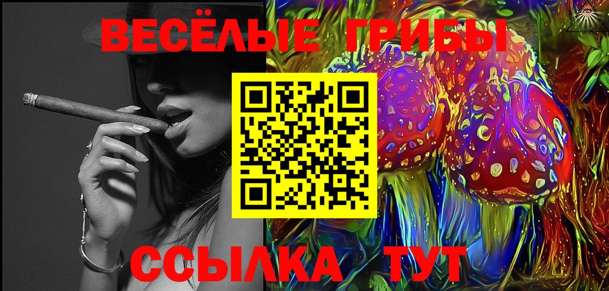 Маркс  Псилоцибиновые грибы MAGIC MUSHROOMS  Вход с VPN 